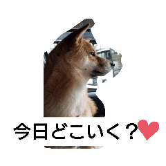 hana_20230507110529