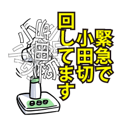 RESPECTemerald_s_0033