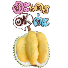 OAB : Durian Sticker (Big)