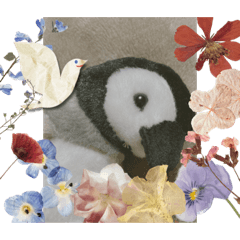 nao_20230507000819