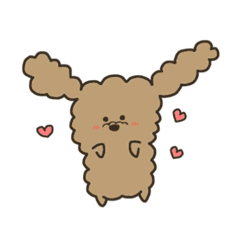 ann@poodle