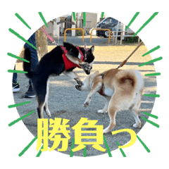 YUN_20230507032001