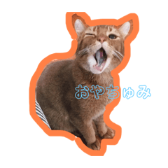 Mizuki_20230507125851