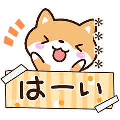 Sticker of Cute Shiba (Custom4)