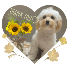 momoko_20230507131542