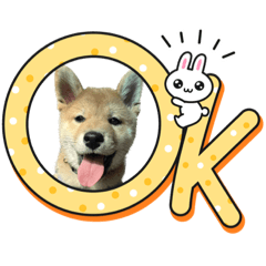 圓仔part.2