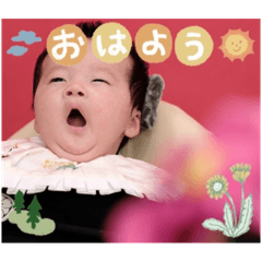 SHOGOKUN IKEMEN STAMP