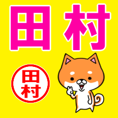 ★田村(たむら・タムラ)な柴犬のシバッキー