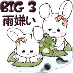 (Big) white rabbit 3 (I hate rain)