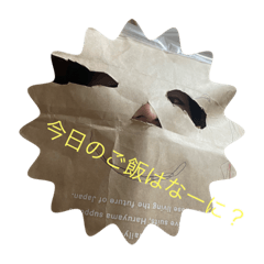 MIZUKI_20230507161540