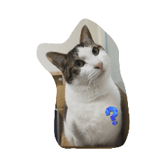 sakura_20230507194105