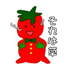 tomato_20230507204212