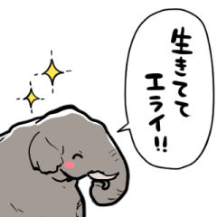 elephant affirms that it is great