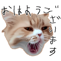 Cats that can write hiragana