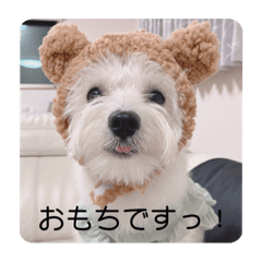 Omochi_20230507211246