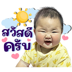 Pang Pang 24