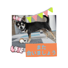 Smile_20230507191823