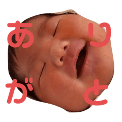 miyoko_20230508120237