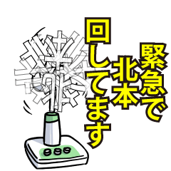 RESPECTemerald_s_0077