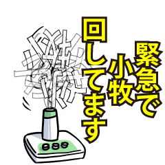 RESPECTemerald_s_0078