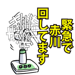 RESPECTemerald_s_0090