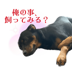 tommy_20230507224552