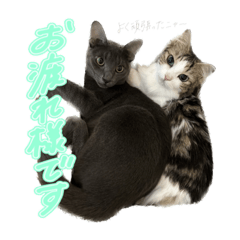 suzu_20230507230623