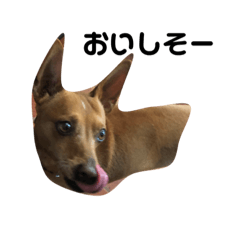 hikari_20230508160916