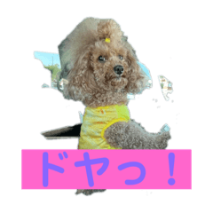 SAKURA_20230508152247