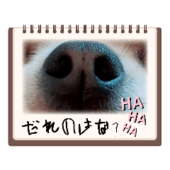 puku_20230508164959