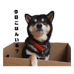 YUKA_20230508174521