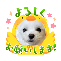 hana_20230509000939