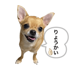 kana_20230509012158