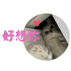 Hello my baby my love – LINE stickers | LINE STORE