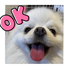 shiho_20230509105912