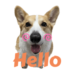 台中科基的搔首「牛」姿2023