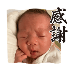 ima_20230509122126