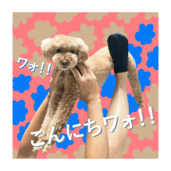 hana_20230509125140