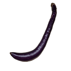 Food Series : Some Eggplant #1