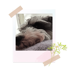 Nozomi_20230508213938