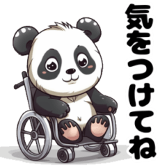 A panda and bear on the wheelchair