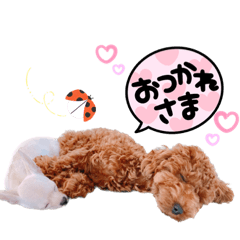 omochi_20230508222544
