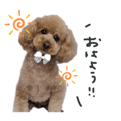 boniKare_20230508210828