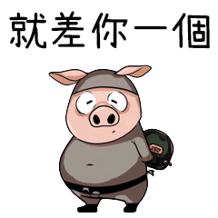 pig_6 (Daily)
