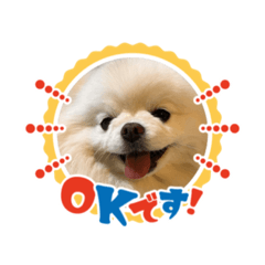 shiho_20230509165221