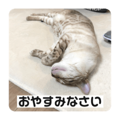 rika komatsu_20230509182947