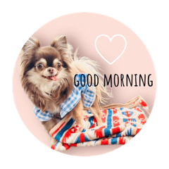 yukari_20230509202044