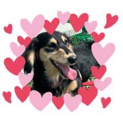 YUKA_20230509202318