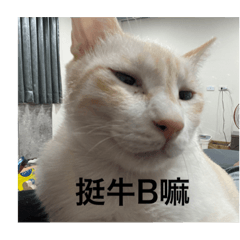榮浩第一彈