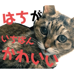 Junko_20230509164135